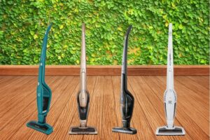 Ergorapido Electrolux diferenças